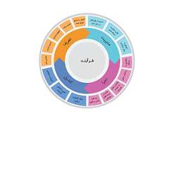 استقرار نرم‌افزار BPMS 5 دیدگاه در 3 سازمان مشتری